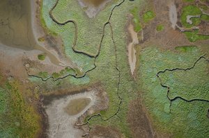 Aerial view of a salt marsh.