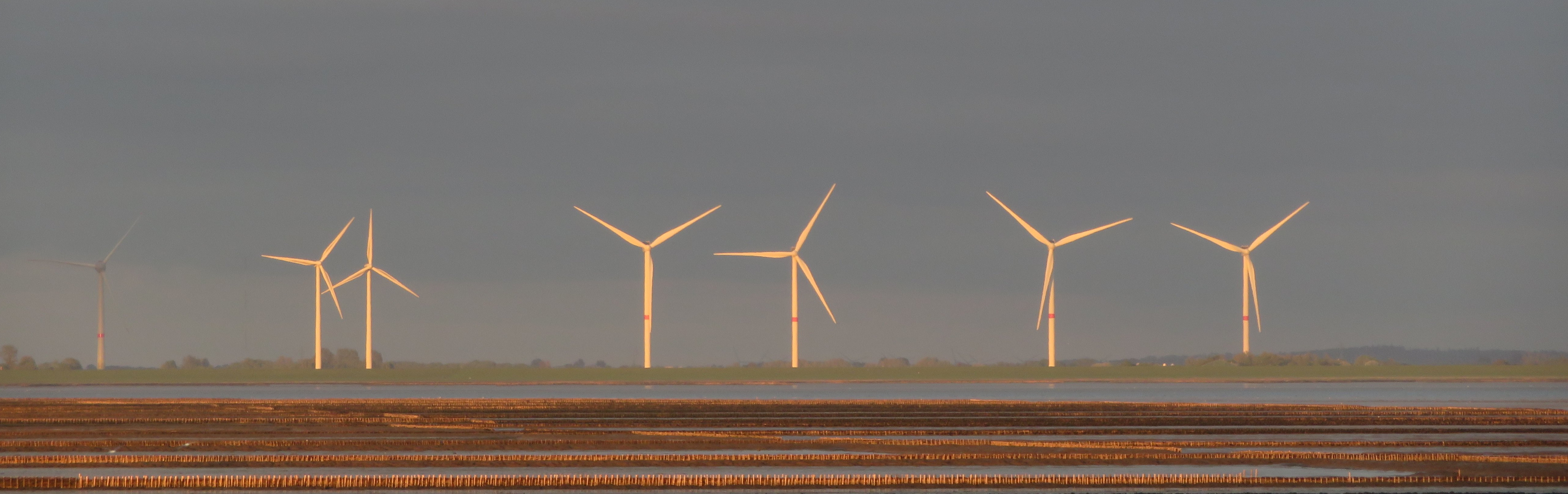 Wind turbines on the coast in the evening sun.