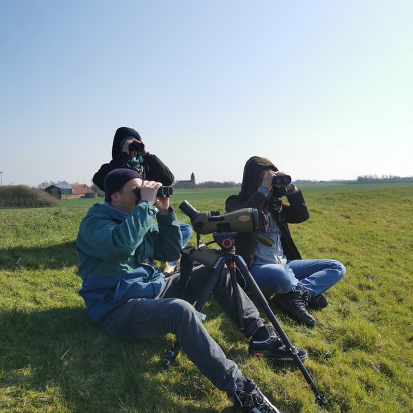 Three people sitting on a dyke watching birds through binoculars.
