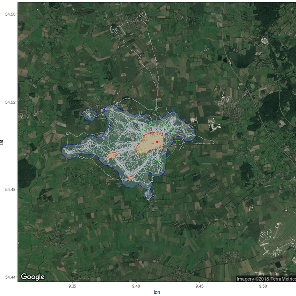 Satellitenbild des Untersuchungsgebietes, auf der die Flugbewegungen und Brutplatz des Uhus in farbigen Linien und Punkten dargestellt sind.