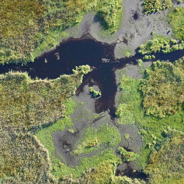 Hochauflösende Luftaufnahme eines Hochmoores zur Vegetationskartierung.