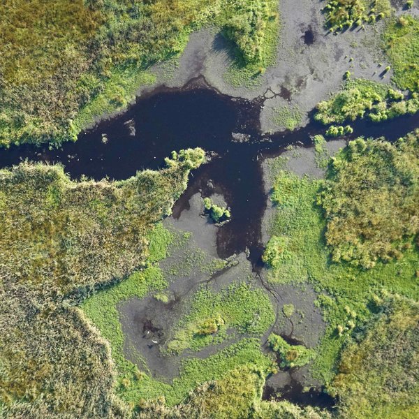 High-resolution aerial photograph of a raised bog for vegetation mapping.