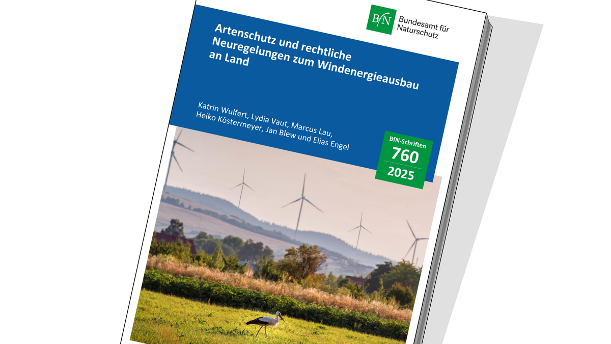 Image showcasing Species protection and new legal regulations for wind energy expansion ...