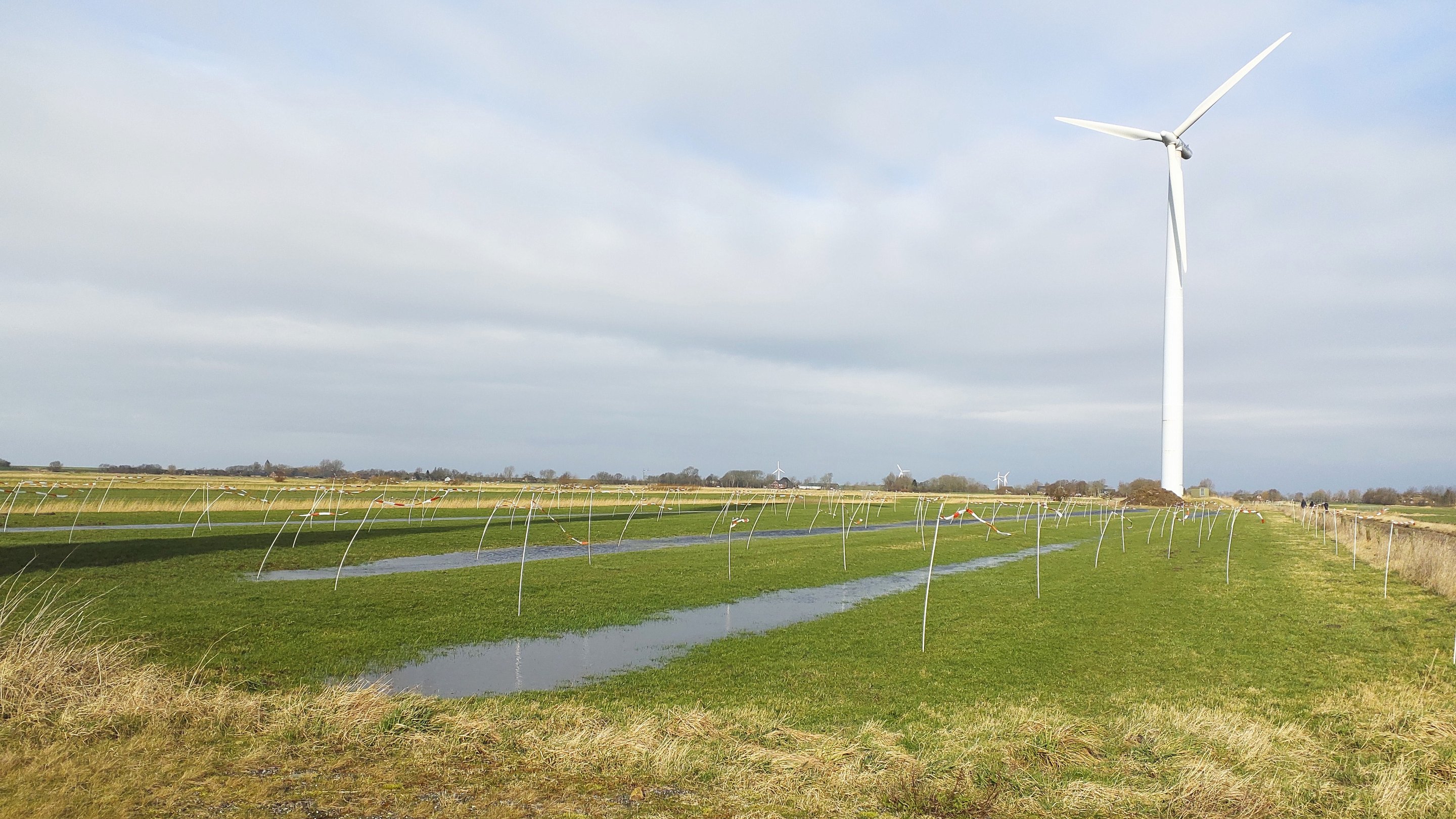 A wind turbine on a meadow in early spring. Around the wind turbine there are poles about 1 metre high to which short red and white fluttering tapes are attached.