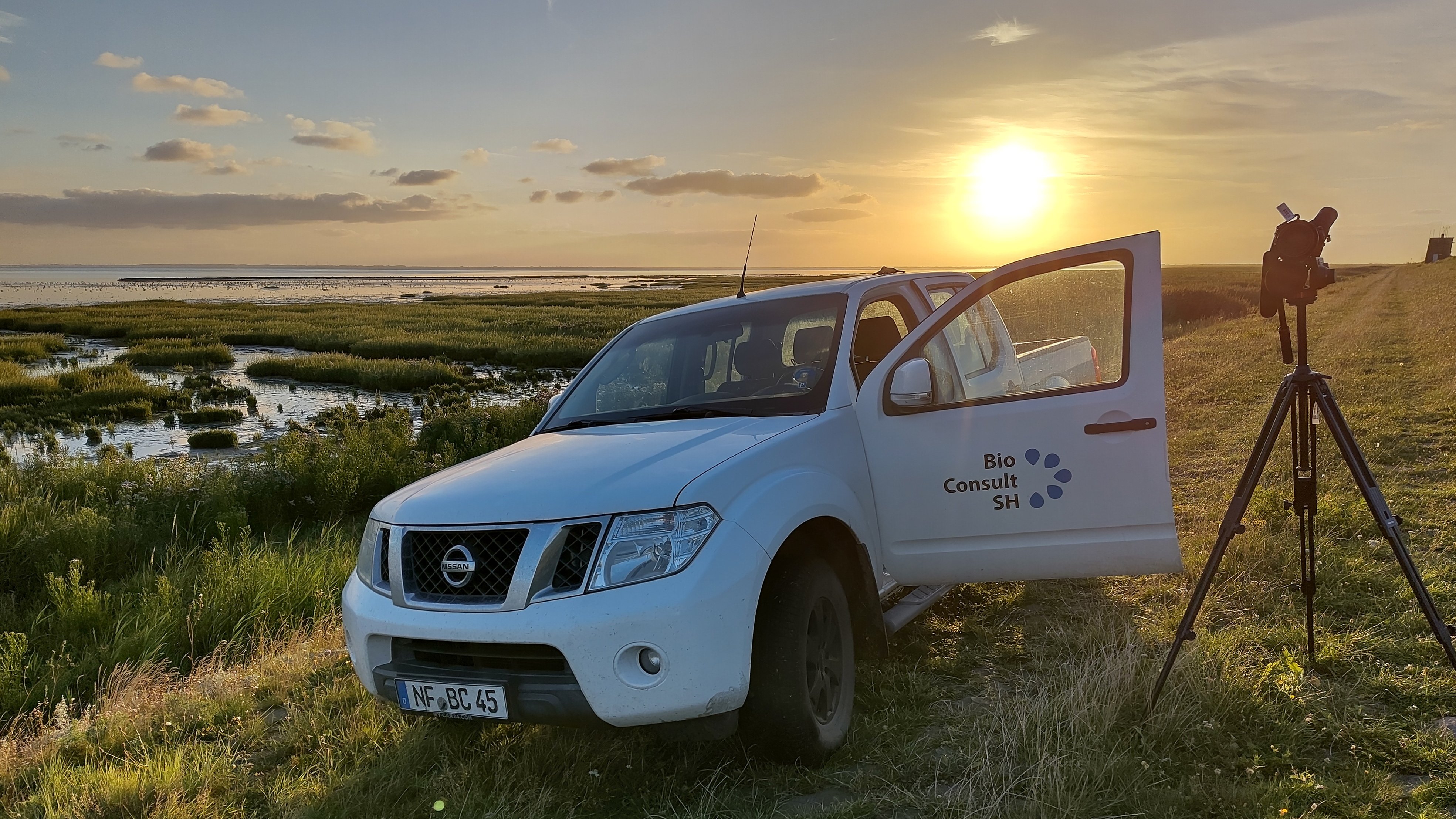 A white car with the BioConsult SH logo on the open driver's door stands in the sunset at the Wadden Sea on the edge of a salt marsh. Next to it is a spotting scope on a tripod.