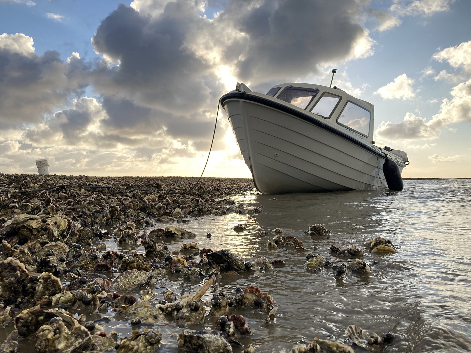 Ein Motorboot liegt bei Niedrigwasser am Rand einer Austernbank im Wattenmeer.  