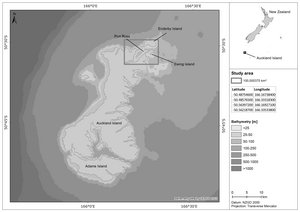 Karte des SPACEWHALE Untersuchungsgebietes Port Ross (100 km²), Auckland Inseln, Neuseeland.