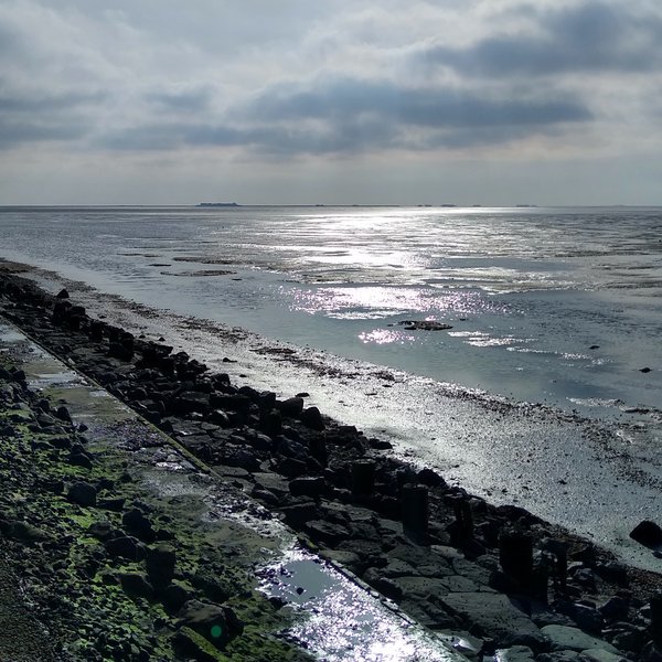 View from a stone embankment, on which rails are laid, onto the mudflats in the backlight.