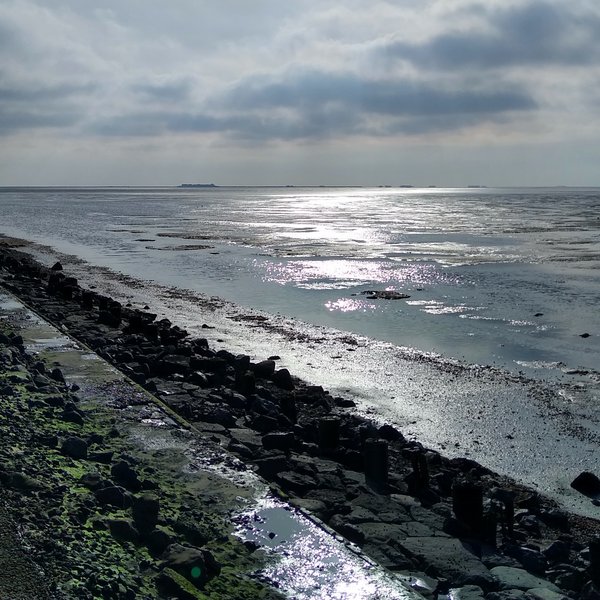 Blick von einem Steindamm, auf dem Schienen verlegt sind, auf das Watt im Gegenlicht.