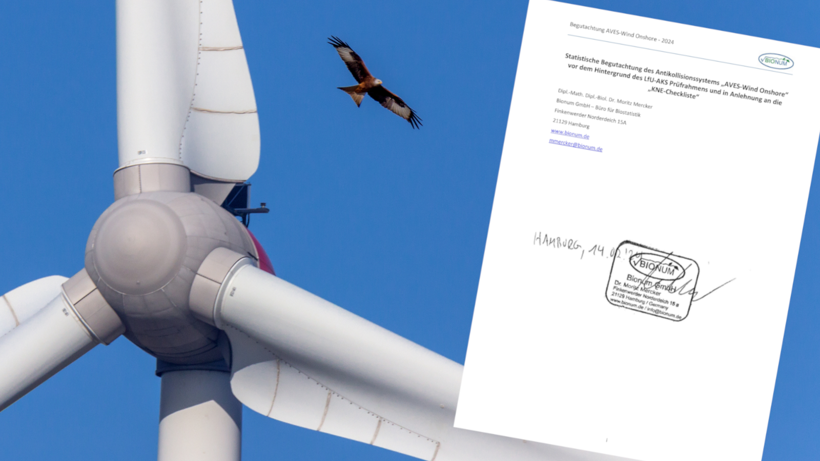 Eine Fotocollage: Ein Rotmilan fliegt hinter einem Windrad. Auf der rechten Seite des Bildes ist das Titelblatt der Wirksamkeitsstudie zum Antikollisionssystem AVES montiert.