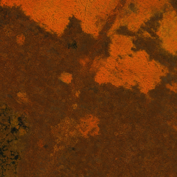 "False Colour Composite" in orange of a raised bog for vegetation mapping.