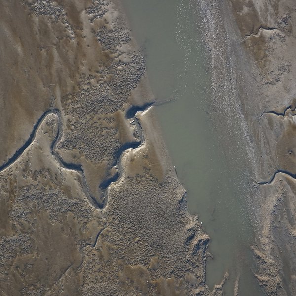 Mussel beds in the Wadden Sea National Park mapped in a drone survey.