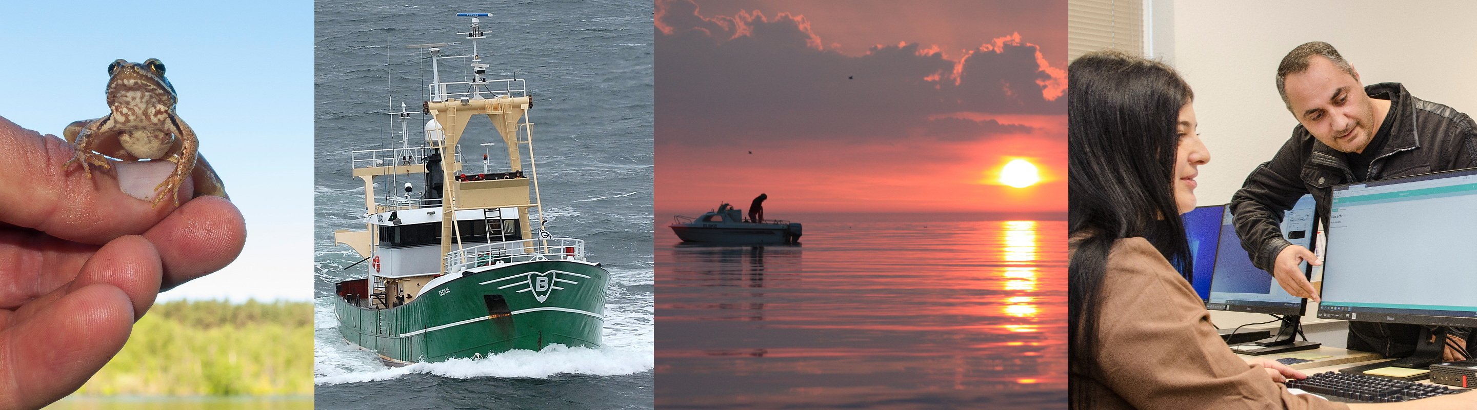 Collage of four pictures showing different aspects of field and office work at BioConsult SH.