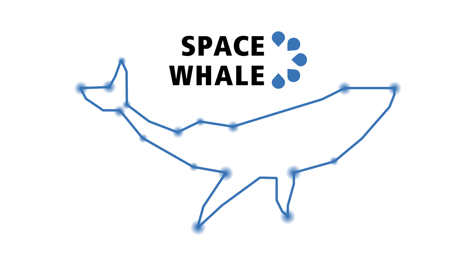 Logo von "SPACEWHALE", eines Service von BioConsult SH.