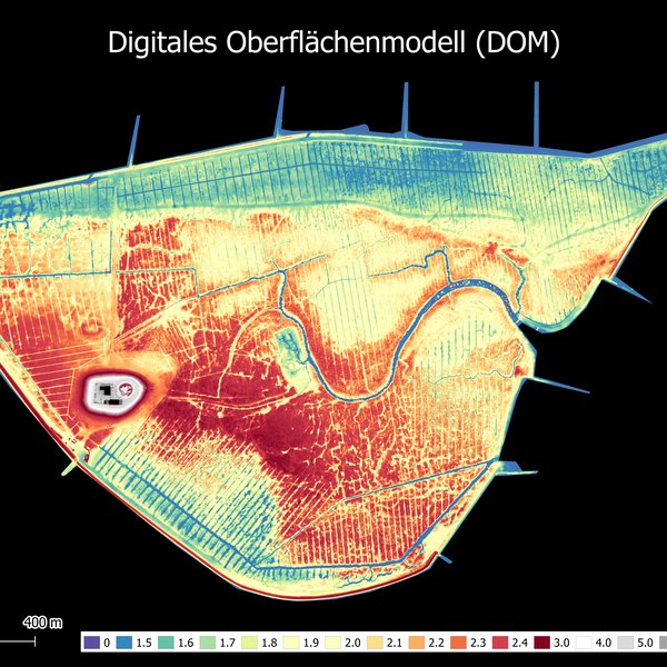 A digital surface model of the Hallig Südfall in the colours red, yellow, green and blue.