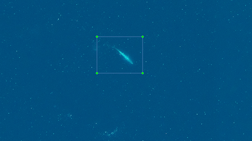 Ein Blauwal im Meer, der knapp unter der Wasseroberfläche schwimmt, auf einem Satellitenbild. Der Wal erscheint hellblau im dunkelblauen Meer.