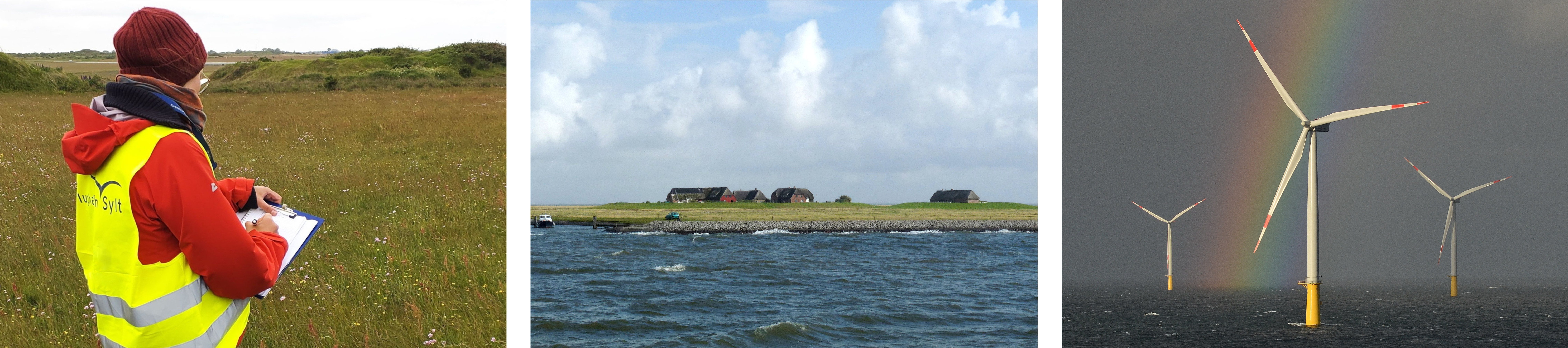Collage with three photos in a row: picture 1 shows a woman taking notes in a meadow. Picture 2 shows a Hallig from the water. Picture 3 shows three offshore wind turbines.