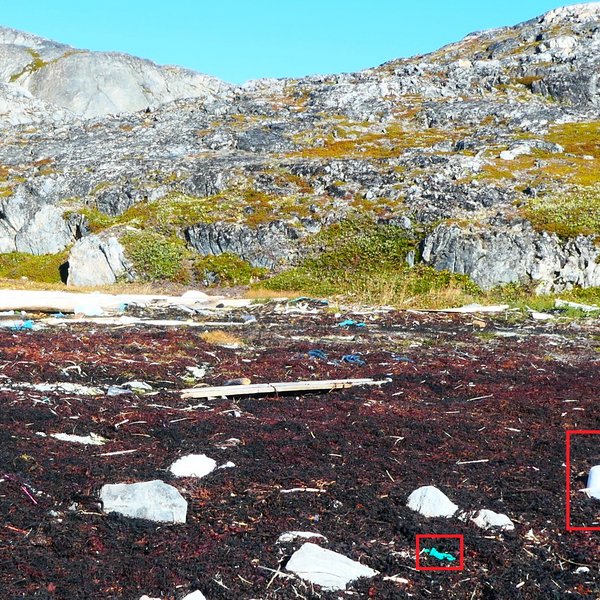 Fotoaufnahme von einem Strand in der Nähe von Sisimiut (Grönland). Tang, Steine und Müll. Im Hintergrund Berge. In Rot umrandet sind Plastikobjekte, die bei der manuellen Sichtung der Drohnenbilder identifiziert werden konnten.