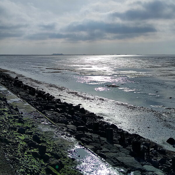 Blick von einem Steindamm, auf dem Schienen verlegt sind, auf das Watt im Gegenlicht.