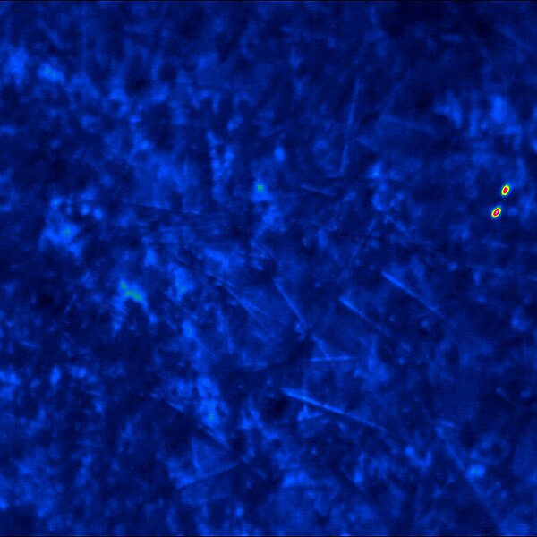 A thermal image of two red deer in a forest. The surroundings appear blue, whilst the deer can be seen as red patches.