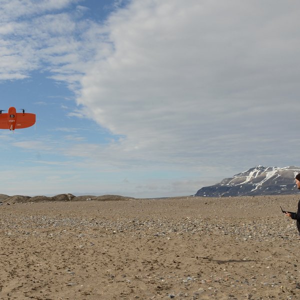 A man stands on the beach on Svalbard and holds a remote control in his hand with which he controls a drone that is taking off some distance away.