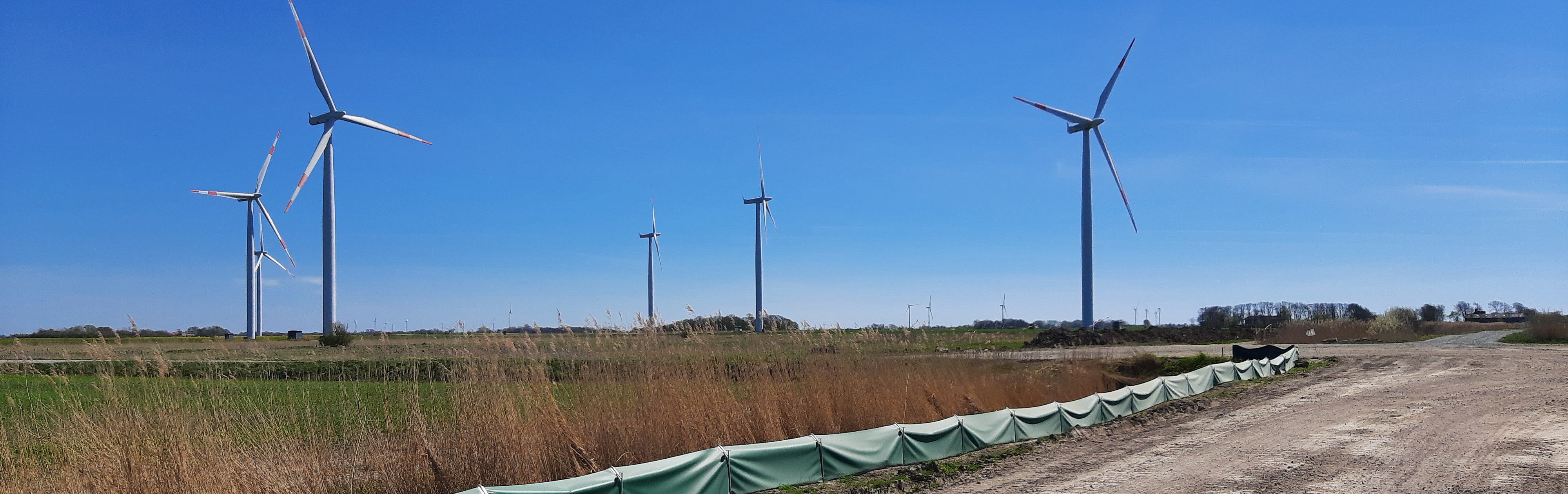 **Translation:**  Several wind turbines stand in an open landscape beneath a clear blue sky. In the foreground, an unpaved farm track runs alongside a reed-lined ditch, with a green amphibian fence.